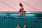 Swimming & Diving vs Babson  Swimming & Diving vs Babson College. - Photo by Keith Nordstrom : Wheaton, Swimming
